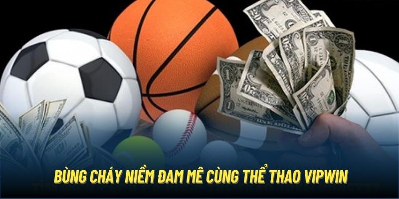 Bùng cháy niềm đam mê cùng thể thao Vipwin