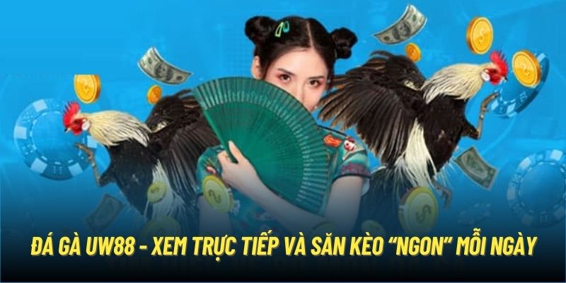 Đá Gà UW88 - Xem Trực Tiếp Và Săn Kèo “Ngon” Mỗi Ngày