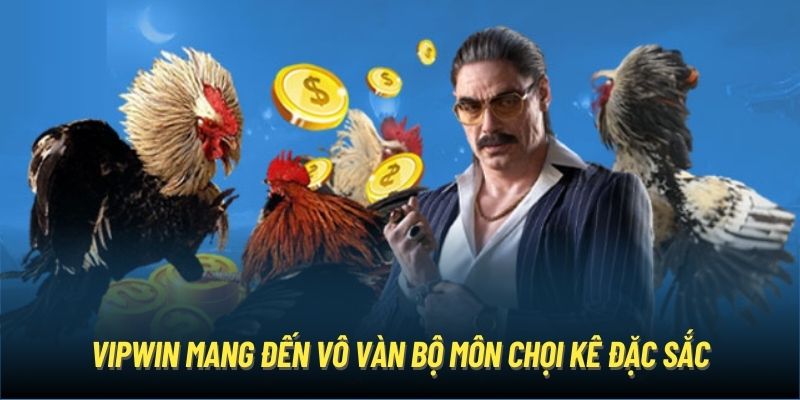 Vipwin mang đến vô vàn bộ môn chọi kê đặc sắc