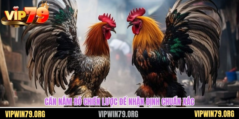 Cần nắm rõ chiến lược để nhận định chuẩn xác