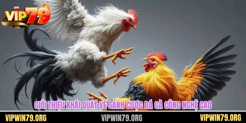 Giới thiệu khái quát về sảnh cược đá gà công nghệ cao