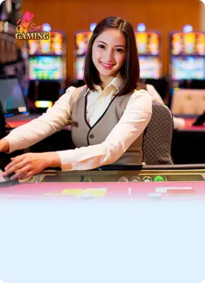 live casino vipwin