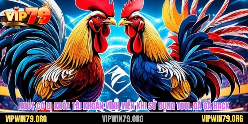 Nguy cơ bị khóa tài khoản vĩnh viễn khi sử dụng tool đá gà hack